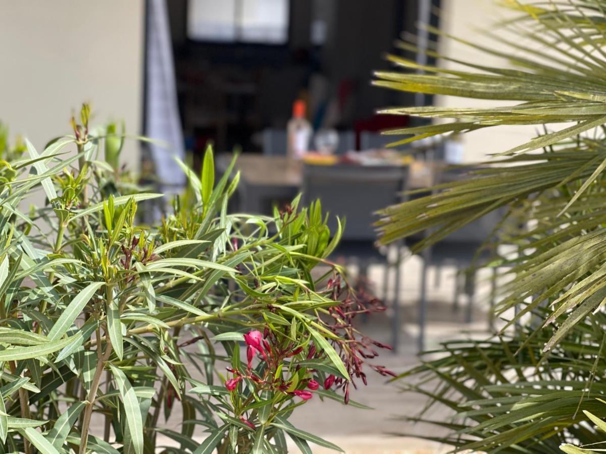 Villa Moderne Avec Spa A Montalivet Vensac Экстерьер фото